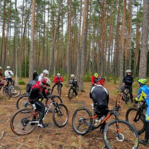 313017457_552396833555664_5974203732418349989_n_large